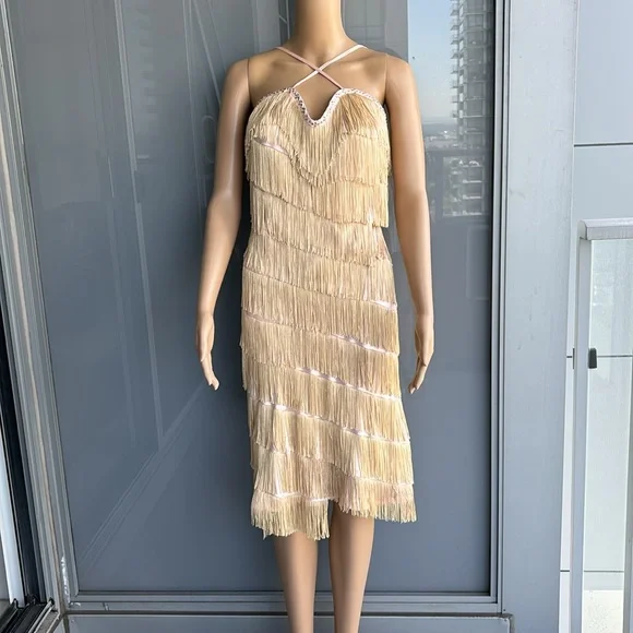 Vintage Fringe Flapper Girl Dress - Picture 4 of 14